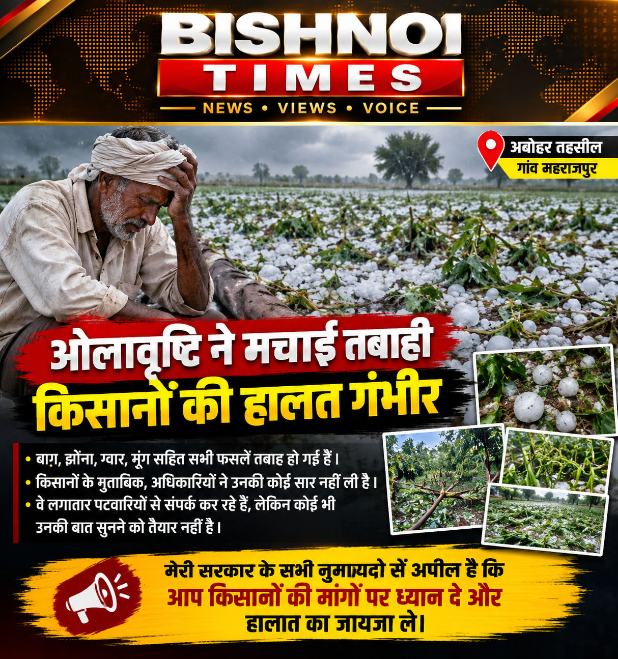 अबोहर के गांव महराजपुर में भयंकर ओलावृष्टि से भारी तबाही: बाग, धान, ग्वार और मूंग की फसलें बर्बाद, किसानों का छलका दर्द